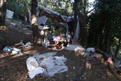 Les restes del campament fet al Tossal de la Baltasana a Prades, on els Mossos van desmantellar una plantació de 5.500 plantes de marihuana.