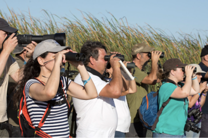 Participants del Delta Birding en una edició passada.