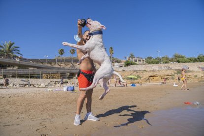 Alguns dels gossos gaudint de l'espai habilitat a la platja del Miracle i jugant amb els seus propietaris ahir a la tarda.