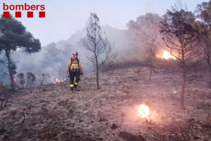 Un bomber enmig d'un paratge cremat durant un incendi