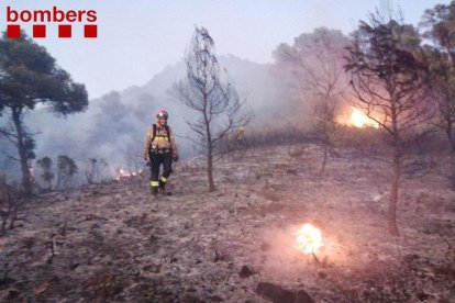 Un bomber enmig d'un paratge cremat durant un incendi en un barranc de Móra d'Ebre