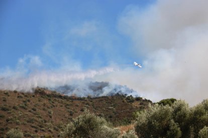 Pla mitjà d'un avió descarregant en l'incendi de Llançà aquest divendres.