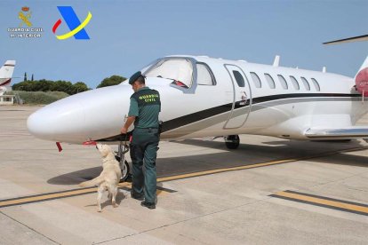 Los agentes de la Guardia Civil en el momento del control antidrogas.