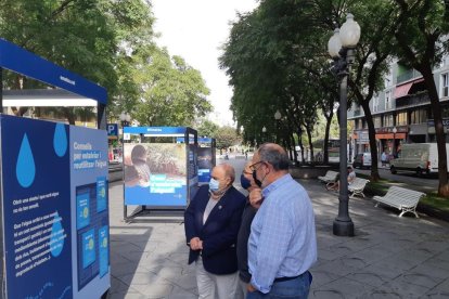 La muestra está formada por cuatro plafones.