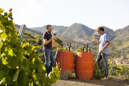 Els vins de qualitat són un dels al·licients del Camp de Tarragona.