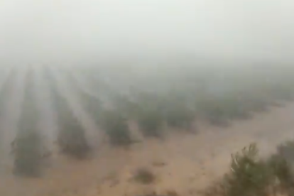 Captura del vídeo de la tempesta, que afecta a una zona de vinyes.