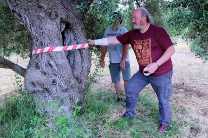 Manel Mas, de Salvem lo Montsià, i el productor Jordi Querol, després de marcar una olivera monumental en una finca d'Ulldecona.