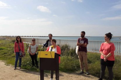 La CUP Penedès ha anunciado la presentación de alegaciones al proyecto de Endesa.