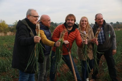 L'acció simbòlica de l'arrencada dels primers calçots de la temporada a Valls, on l'actor Quim Masferrer s'ha convertit en ambaixador