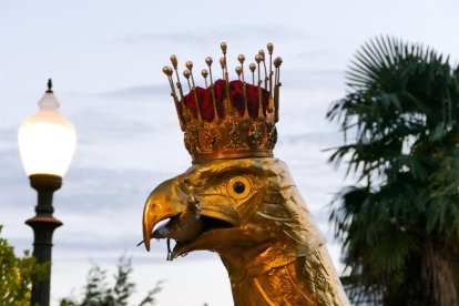 Las nuevas palomas de las Águilas de Tarragona.