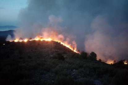 Imatge nocturna d'un incendi al massís de Montgrí.