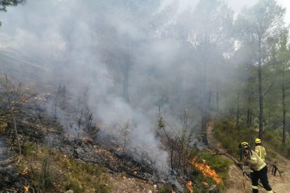 Els bombers fent les tasques d'extinció de l'incendi.