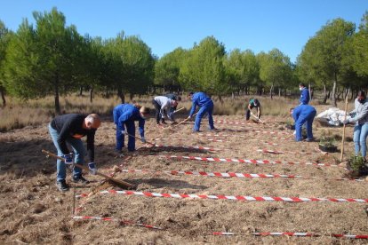 Imatge d'un moment de la reforestació de la zona.