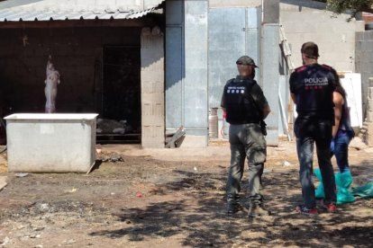 Un agente rural, un mosso y una técnica durante la inspección en Vilaverd (Conca de Barberà) del matadero ilegal.