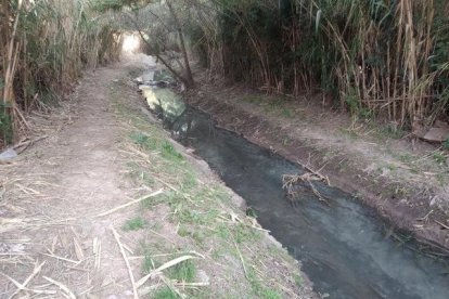 Imatge del veí que va denunciar la presència d'aigües fecals a l'ACA ahir al matí.