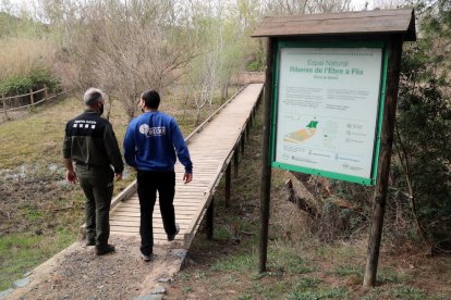 Plano general del jefe de los Agentes Rurales en el Ebre, Miquel Àngel Garcia, y el biólogo del Grup Natura Freixe, Arnau Pou, entrando en la Reserva Natural de Sebes en Flix.