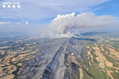 Pla general aéreo de superficie calcinada por el incendio iniciado en Santa Coloma de Queralt.