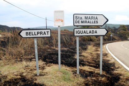 Tramo de carretera con los arcenes|riberas quemados.