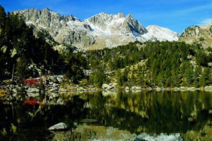 Si augmenta la temperatura la humitat natural als Pirineus no podrà impedir els incendis.