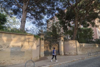 Imagen donde se puede apreciar el estado en el cual se encuentra uno de los árboles del mas, inclinado hacia el edificio vecino.