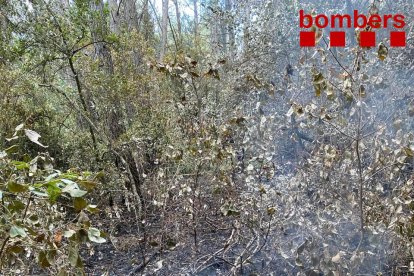 La petita revifalla de l'incendi de la Conca de Barberà i l'Anoia a tocar del Castell de Miralles.