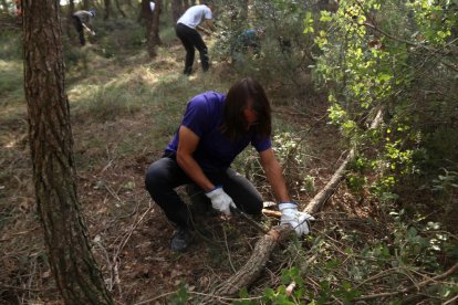 Uno de los voluntarios cortando un tronco en la acción de limpieza organizada por la plataforma Reavivamos Queralt al término municipal de Argençola (Anoia)