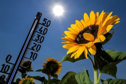 La temperatura global no ha dejado de subir en la última década.