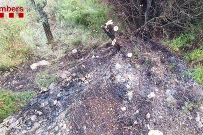 Activadas dos dotaciones terrestres y una aérea para extinguir un incendio en Corbera d'Ebre