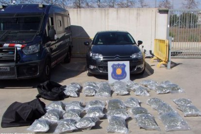 40 paquets de cabdells de marihuana localitzats a l'interior d'un vehicle intervingut pels Mossos d'Esquadra a Vila-seca.