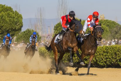 L'esdeveniment va tornar a obrir la porta al públic després d'un any celebrat a porta tancada.