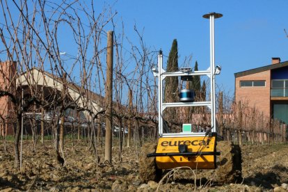 Un robot de un proyecto de Eurecat recorre el viñedo para captar datos destinados a aplicar inteligencia artificial al cultivo.