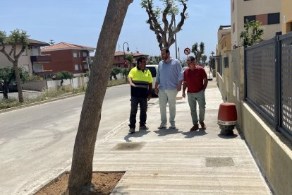 Les arrels dels arbres havien esquerdat i desnivellat diferents trams dels carrers.