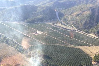 Una de les columnes de fum de l'incendi de Móra d'Ebre.