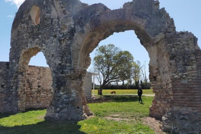 La Vil·la Romana de Centcelles és un dels punts de la Ruta de l'Aigua de Constantí.