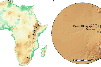 Localización y secuencia estratigráfica del yacimiento Ewass Oldupa.