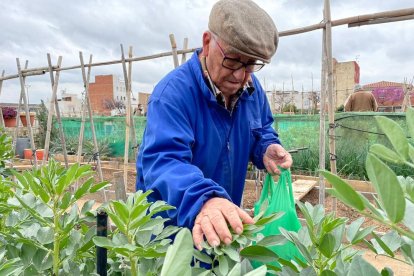 Un dels adjudicataris d'un hort urbà a Sol i Vista.