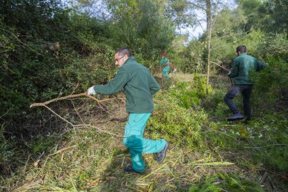 En els darrers anys s'han dut a terme treballs de prevenció d'incendis al Pont del Diable.