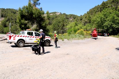 Efectius dels Bombers treballant en el punt on s'ha precipitat un vehicle a Pradell.