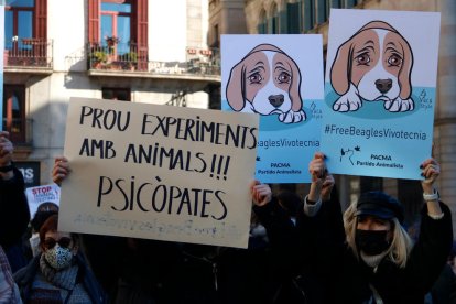 Cartulinas de protesta en la Plaza Sant Jaume