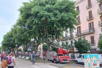 Imatge de la intervenció dels Bombers per la caiguda de branques a causa de les fortes ratxes de vent a Tarragona.