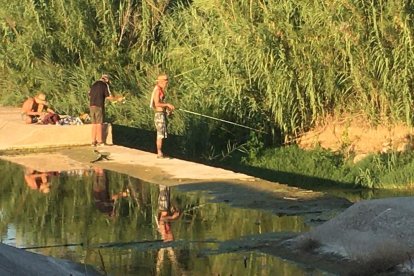 Varias personas con caña pescando el río.