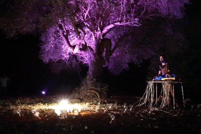 Un DJ pincha al lado de un olivo monumental en la propuesta musical del festival ibero Tyrika d'Alcanar, el año pasado.