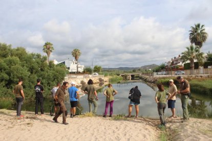 Els tècnics de Medi Ambient faran un seguiment de l'evolució durant les properes setmanes.