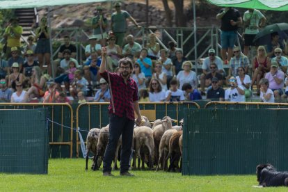 El pastor Moisés Tarrés, amb el seu gos Mac, va guanyar la 33a edició del concurs.