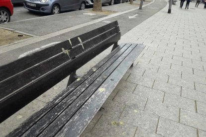 Algunos bancos del passeig Prim sucios de heces de pájaros, el domingo pasado.