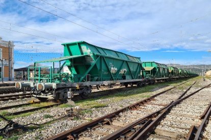 Los convoyes, de momento, están estacionados en una vía de la estación de Móra.