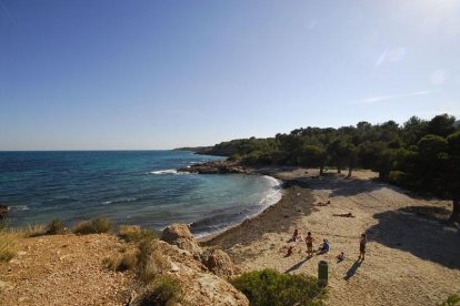 Imatge de la platja de l'Estany Podrit a l'Ametlla de Mar.