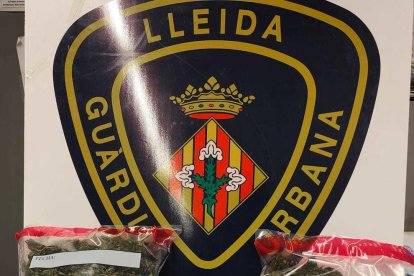 Les bosses amb cabdells de marihuana intervingudes a un home que circulava en patinet elèctric a Lleida.