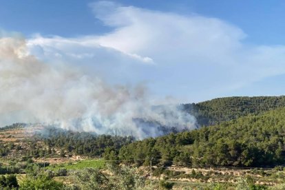 Vista de l'incendi.