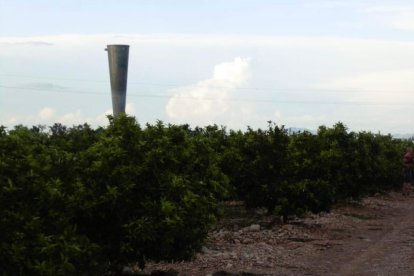 Un canó anticalamarsa sobresurt per sobre dels tarongers a la finca on estan instal·lats.